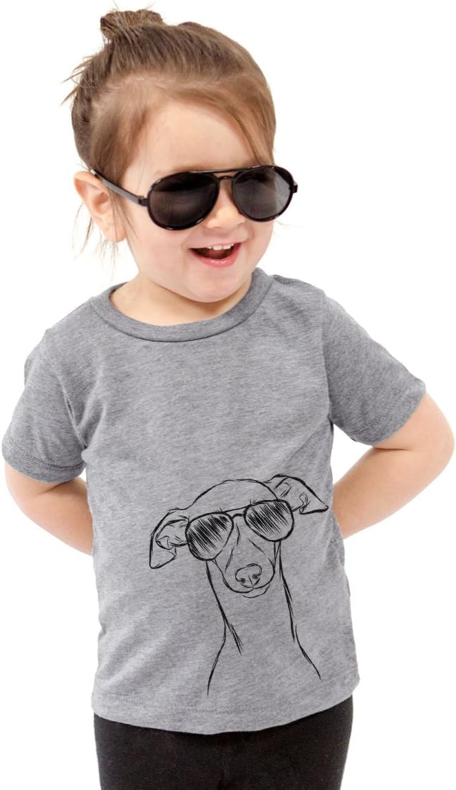 Ziggie the Italian Greyhound Youth Unisex Boy Girl Kids Crewneck Small Grey - Grey
