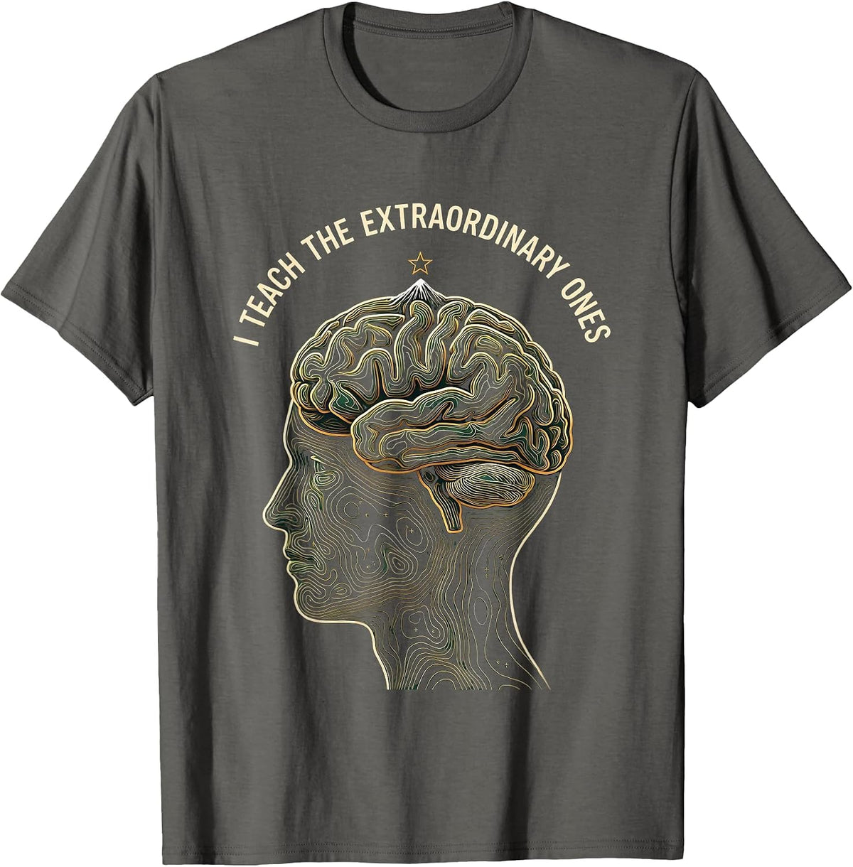 I Teach The Extraordinary Ones Sped Teacher T-Shirt - Asphalt Grey
