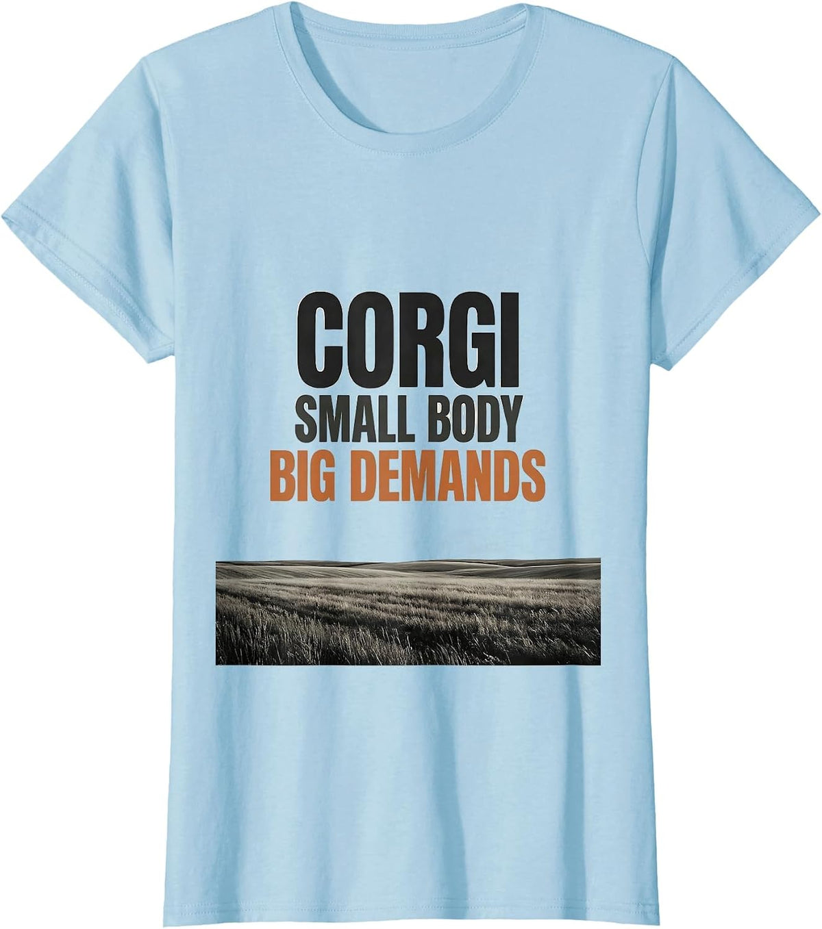 Corgi Small Body Big Demands Funny Corgi Owner Humor T-Shirt - Baby Blue