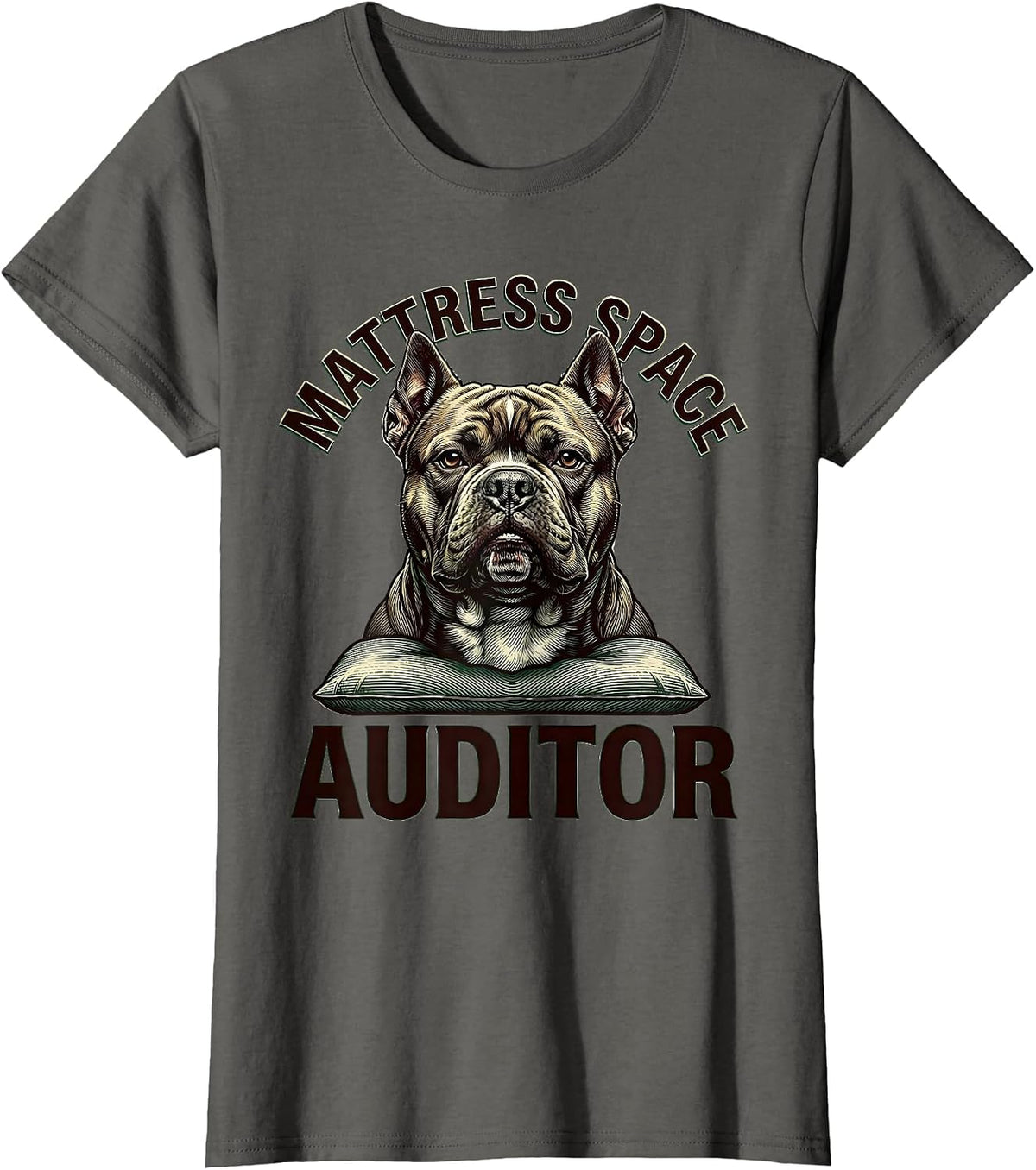 Women's Mattress Space Auditor Funny Pitbull Dog Owner Humor T-Shirt - Asphalt Grey