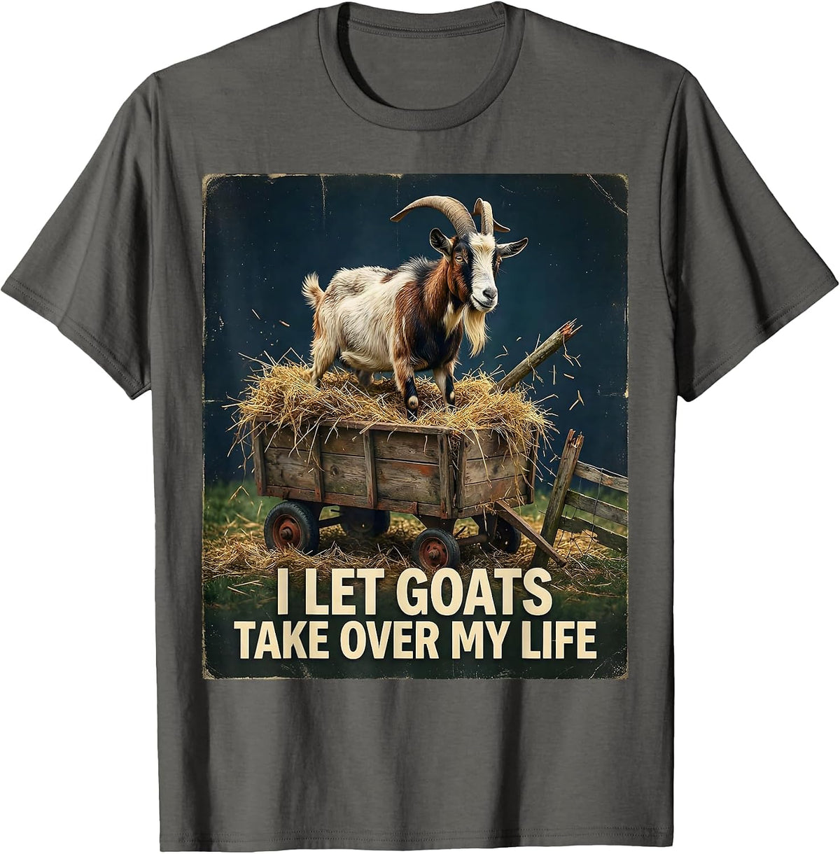 Men's I Let Goats Take Over My Life Vintage Funny Goat Lover T-Shirt - Asphalt Grey