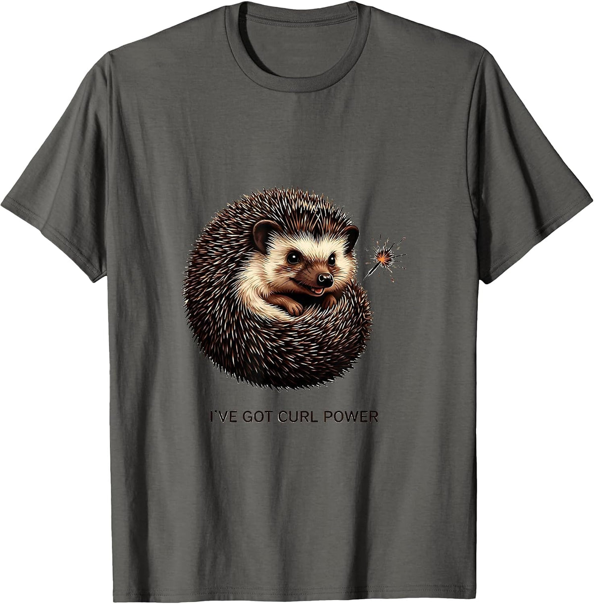 Men's I've Got Curl Power Cute Hedgehog Lover Humor T-Shirt - Asphalt Grey