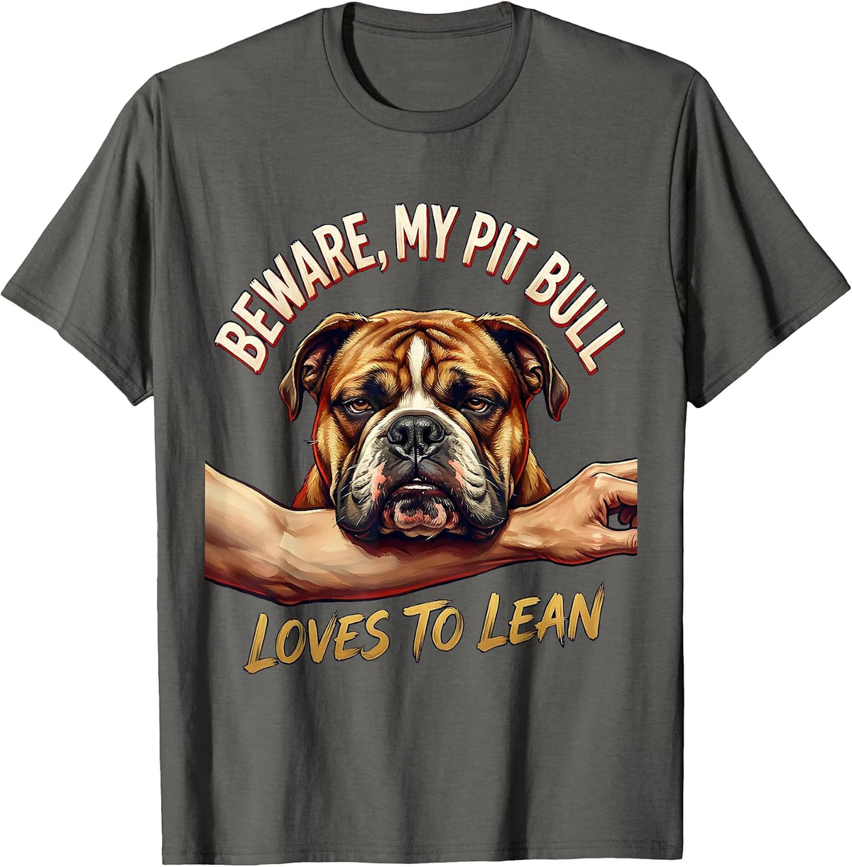 Beware, My Pit Bull Loves To Lean Funny Pitbull Dog Lover T-Shirt - Asphalt Grey