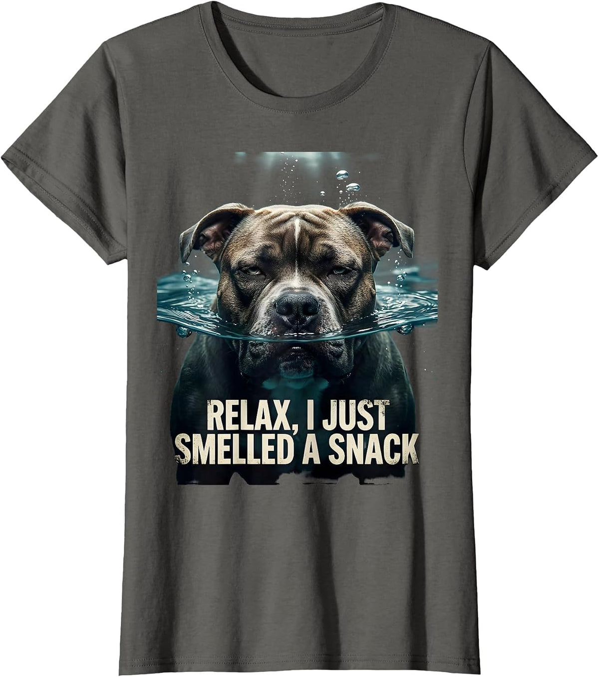 Women's Relax, I Just Smelled A Snack Funny Pitbull Mom Dog Lover T-Shirt - Asphalt Grey