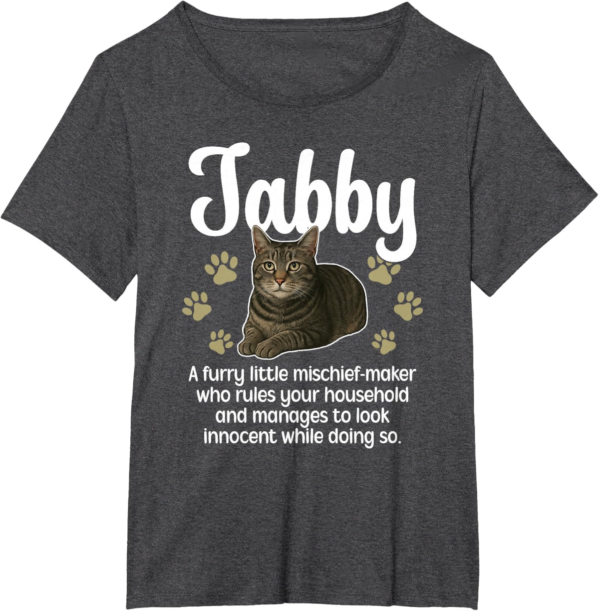 Funny Gray Tabby Cat Owner Tees Grey Tabby Cat Lover T Shirts for Women Men - Dark Heather Grey
